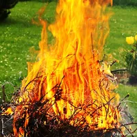 gartenabfaelle-verbrennen.jpg